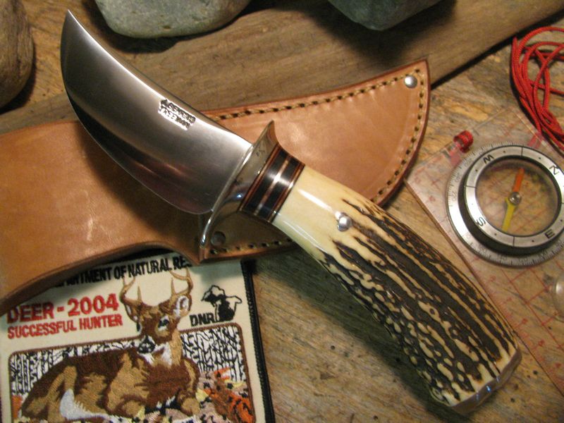 J. Behring  Fatty skinner MuskOx Exhibition stag!