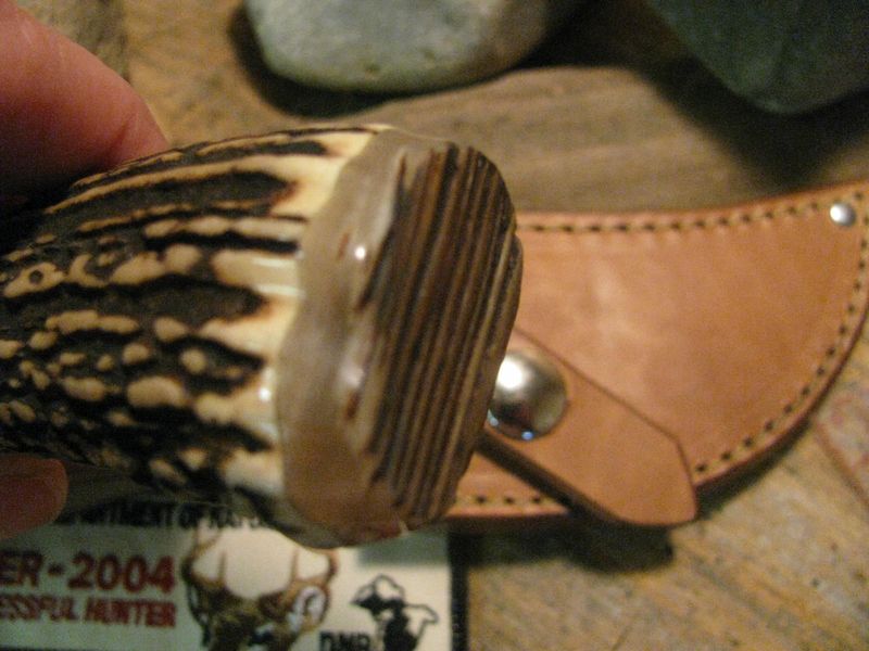 J. Behring  Fatty skinner MuskOx Exhibition stag!