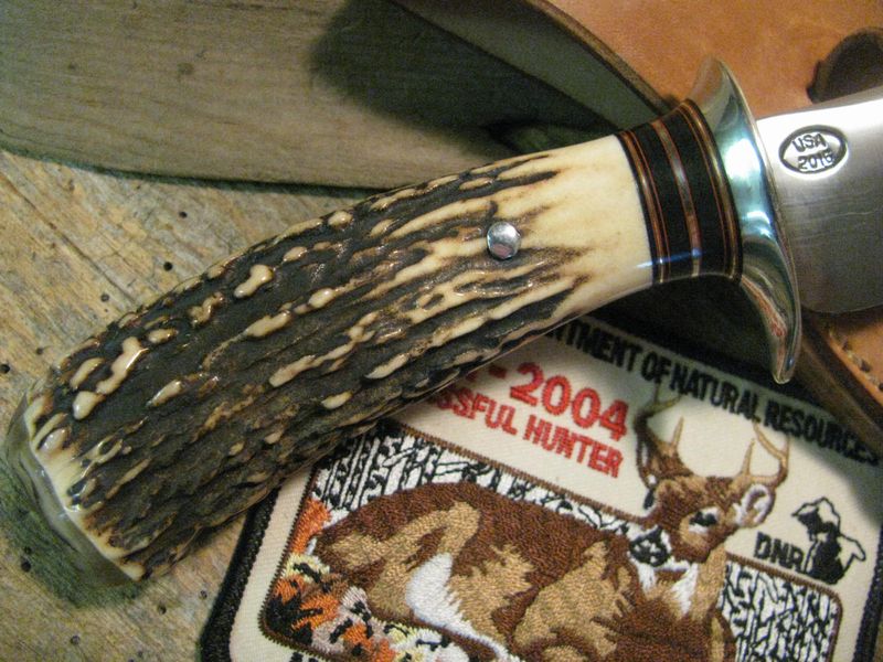 J. Behring  Fatty skinner MuskOx Exhibition stag!