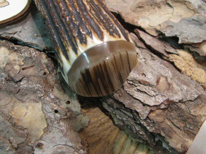 Treeman Woodcraft 5" Premium Stag Musk Ox