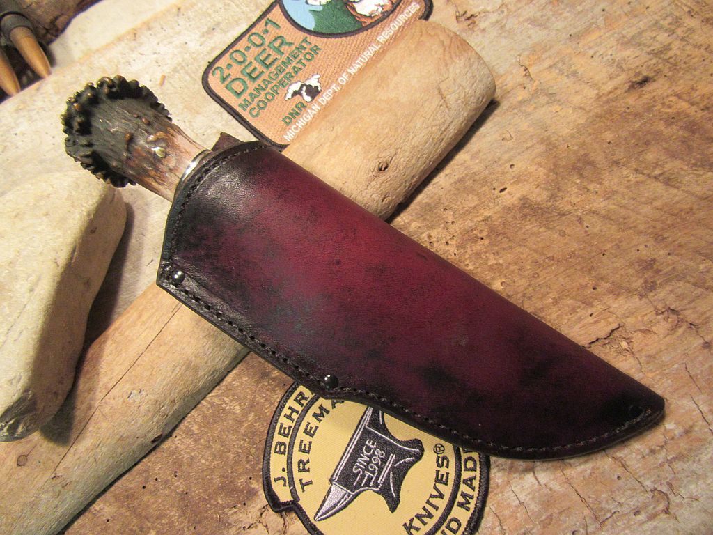 Little Bay Hunter leather Crown Stag!!