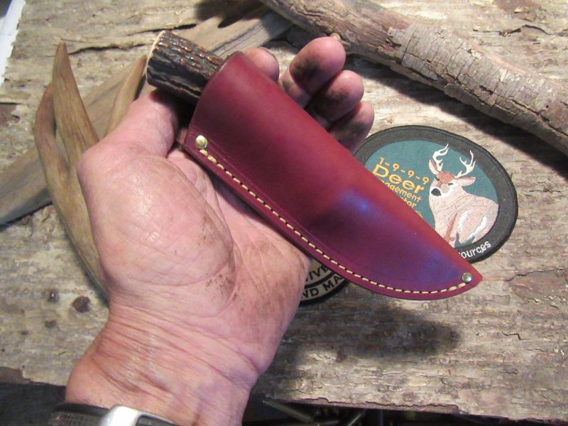 Treeman Caper Sambar Stag Upside Down stamp