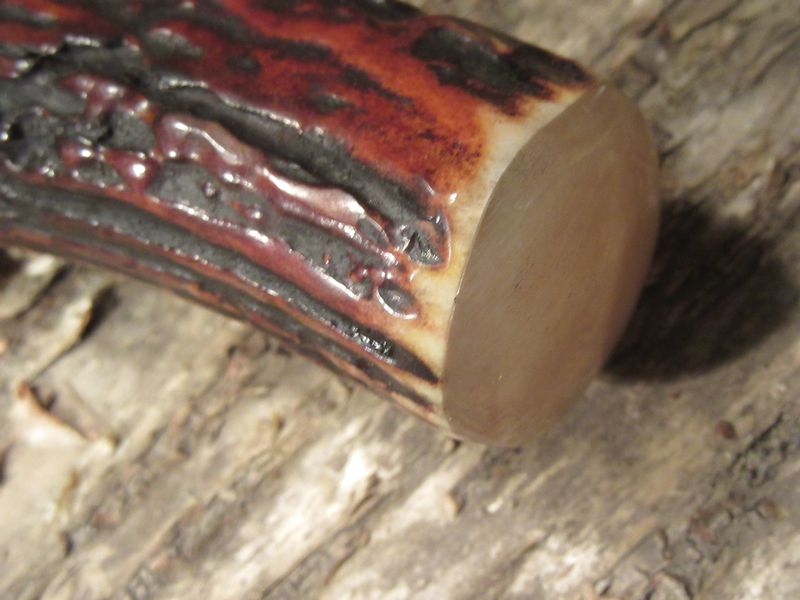 Treeman Skull Fighter Red Stag Ox Butt Cap