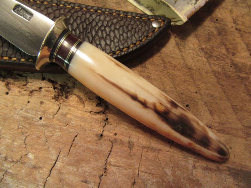 Montana Trout Knife Fossil Walrus Ivory Tip