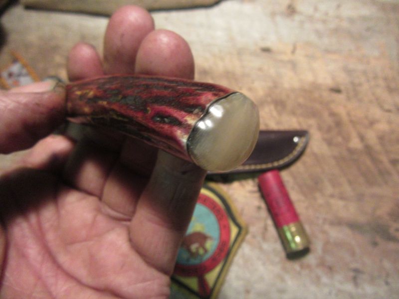Montana Trout Knife Red Blood Sambar Stag Musk Ox Handle