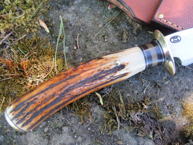 Treeman Camp Fighter