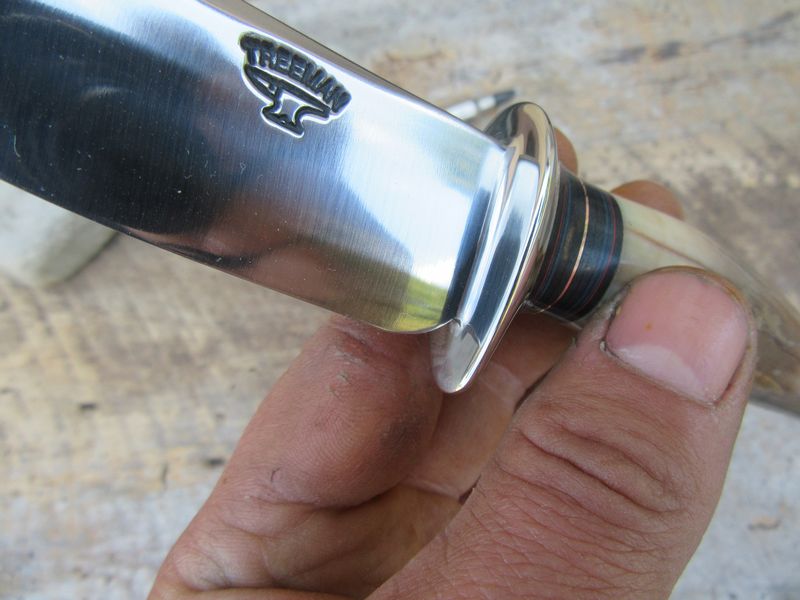 Treeman Fossilzed Walrus Ivory Michigan Caper