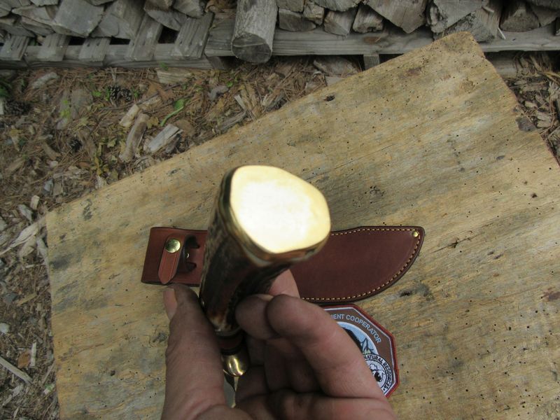 Treeman Hammer Mark Semi Skinner