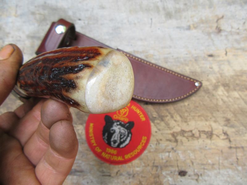 Treeman Knives Hammer mark Big bay hunter