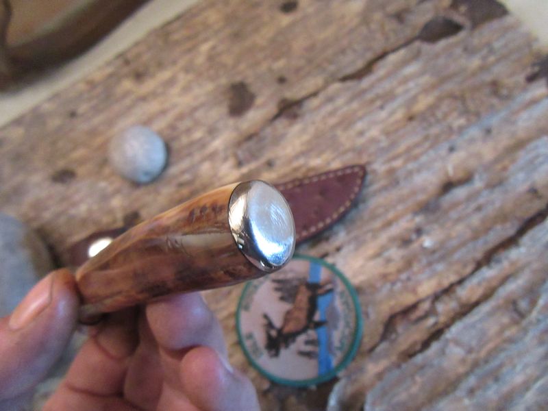 Stainless AEB-L Ivory Trout Knife