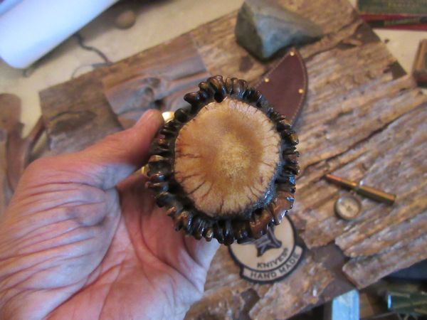 Treeman Knives Big Fat 8" Hammer Mark Fighter