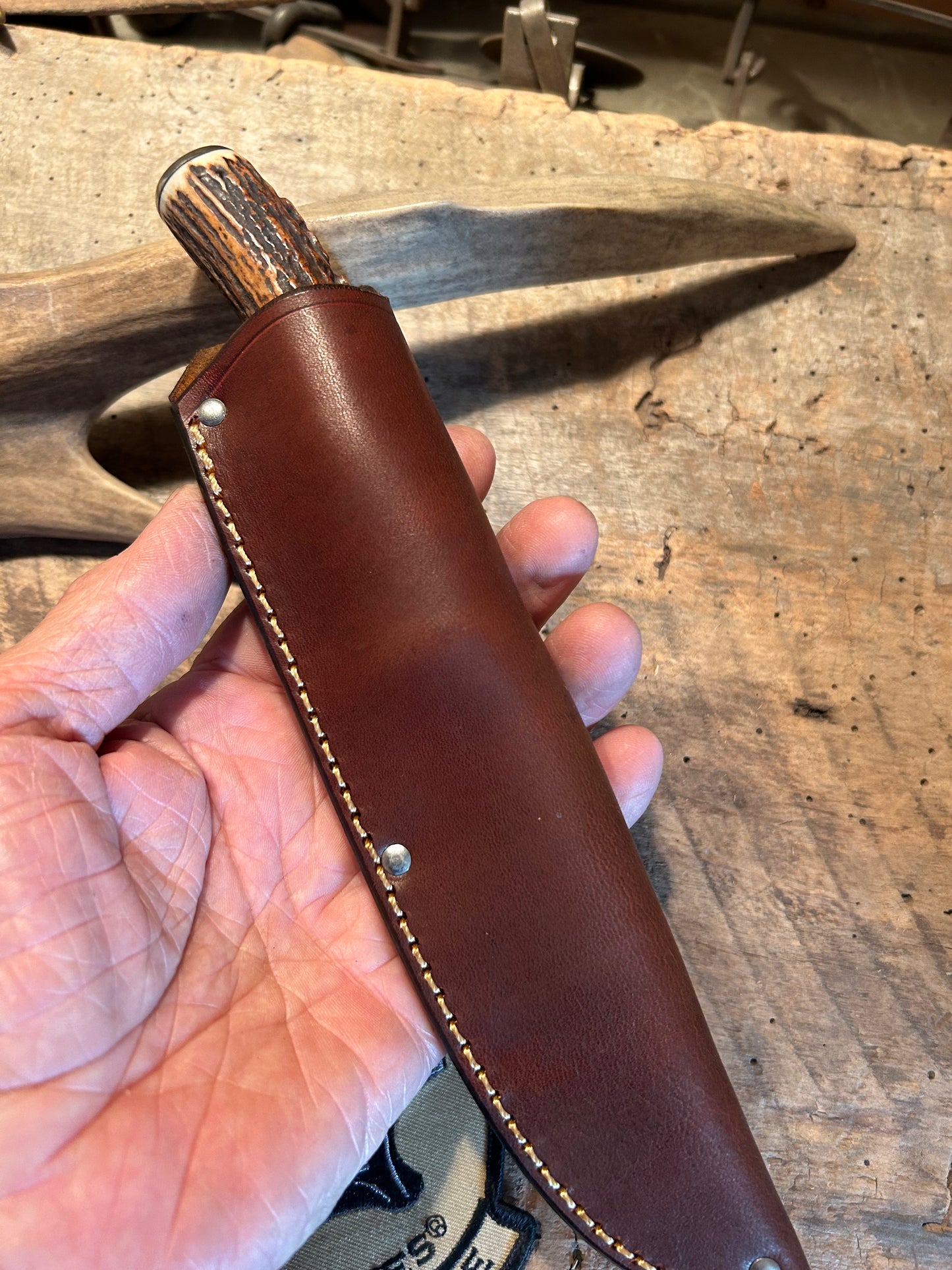 Treeman Stag Deer & Trout AEB-L Stainless 4 3/4" Blade