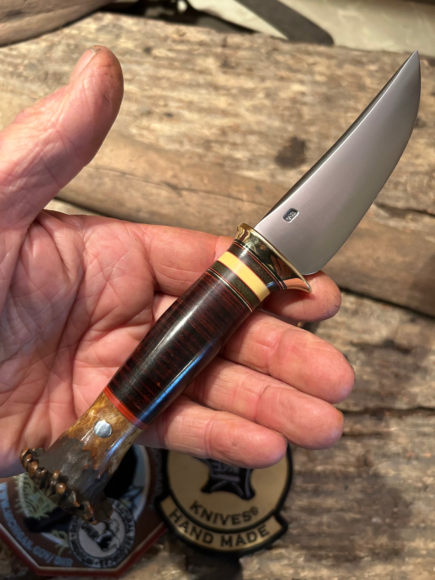 Treeman Deer & Trout 4" Brass Crown Stag  Horse Hide