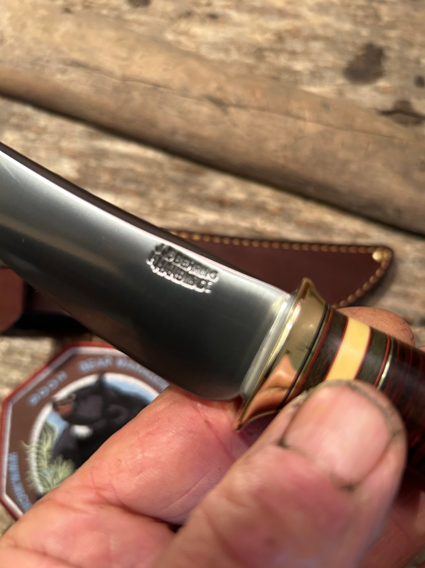 Treeman Deer & Trout 4" Brass Crown Stag  Horse Hide