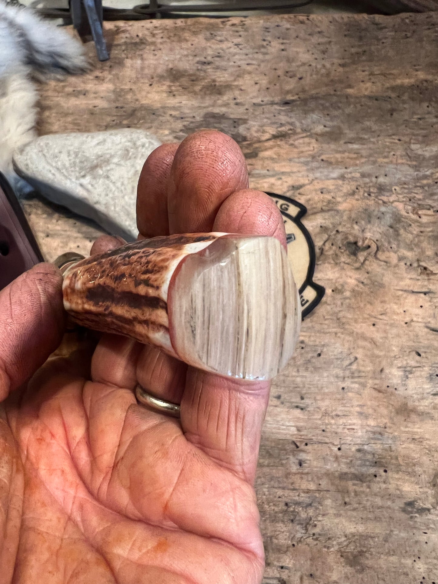 Treeman Trout & Bird 4 1/4" Blade Brass guard Sambar Stag Ox Butt