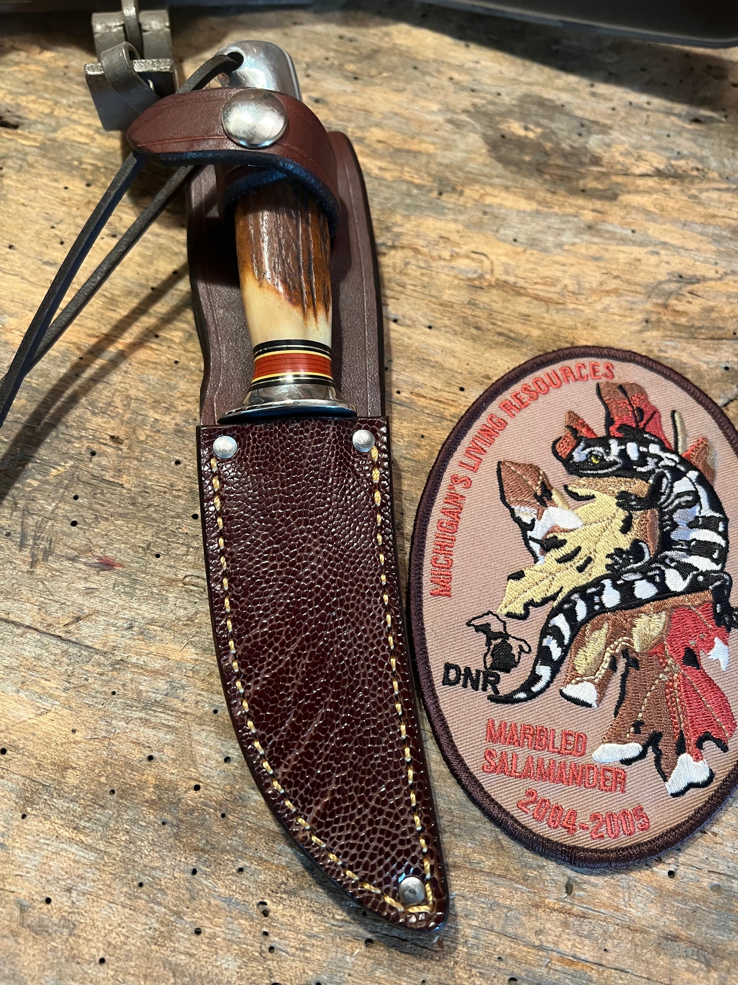 Treeman Trout & Bird 3 3/4" Blade AEB-L Stainless Stag Aluminum