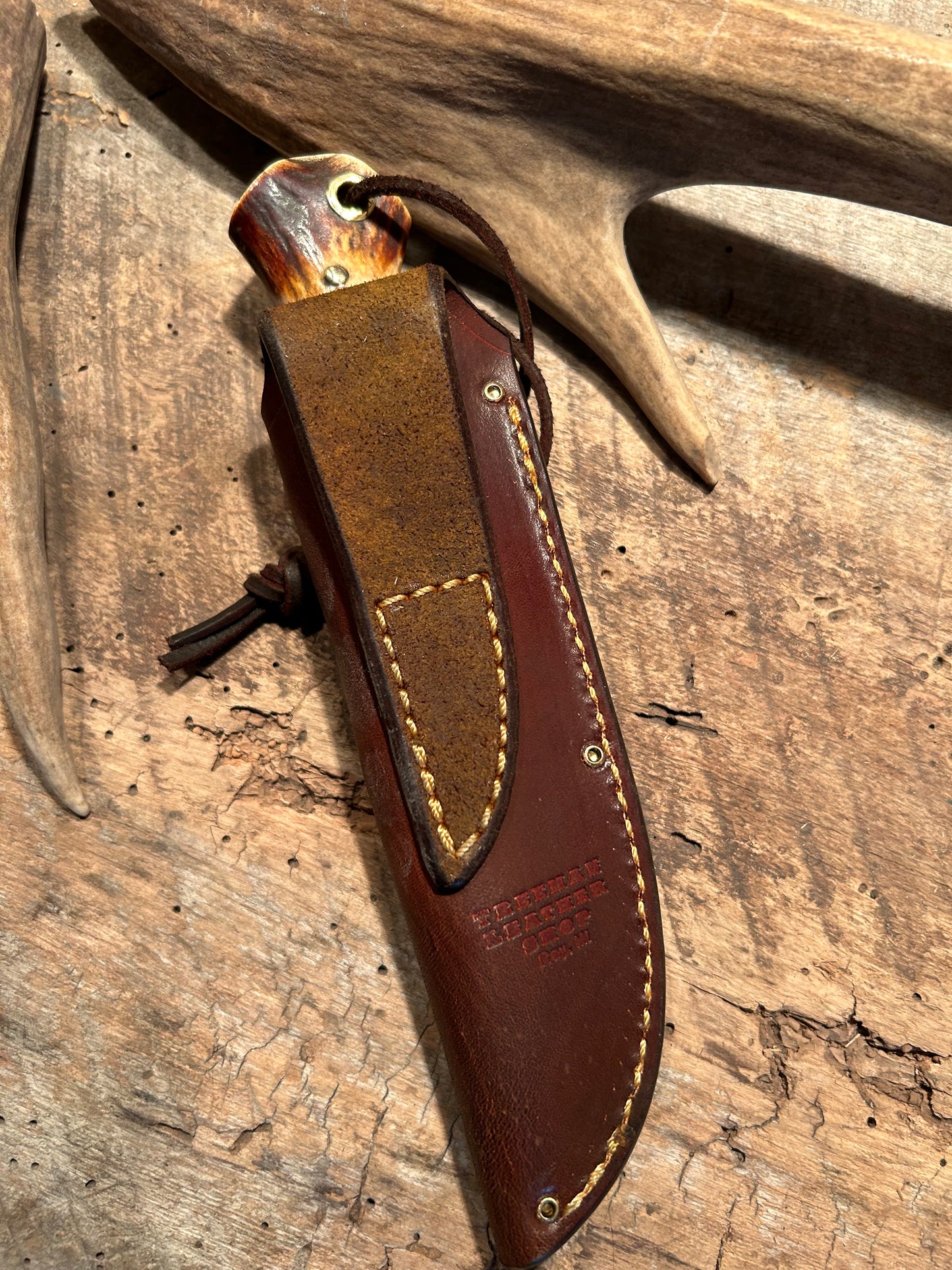 J. Behring Little Sticker HH Crotch Stag Thong Hole