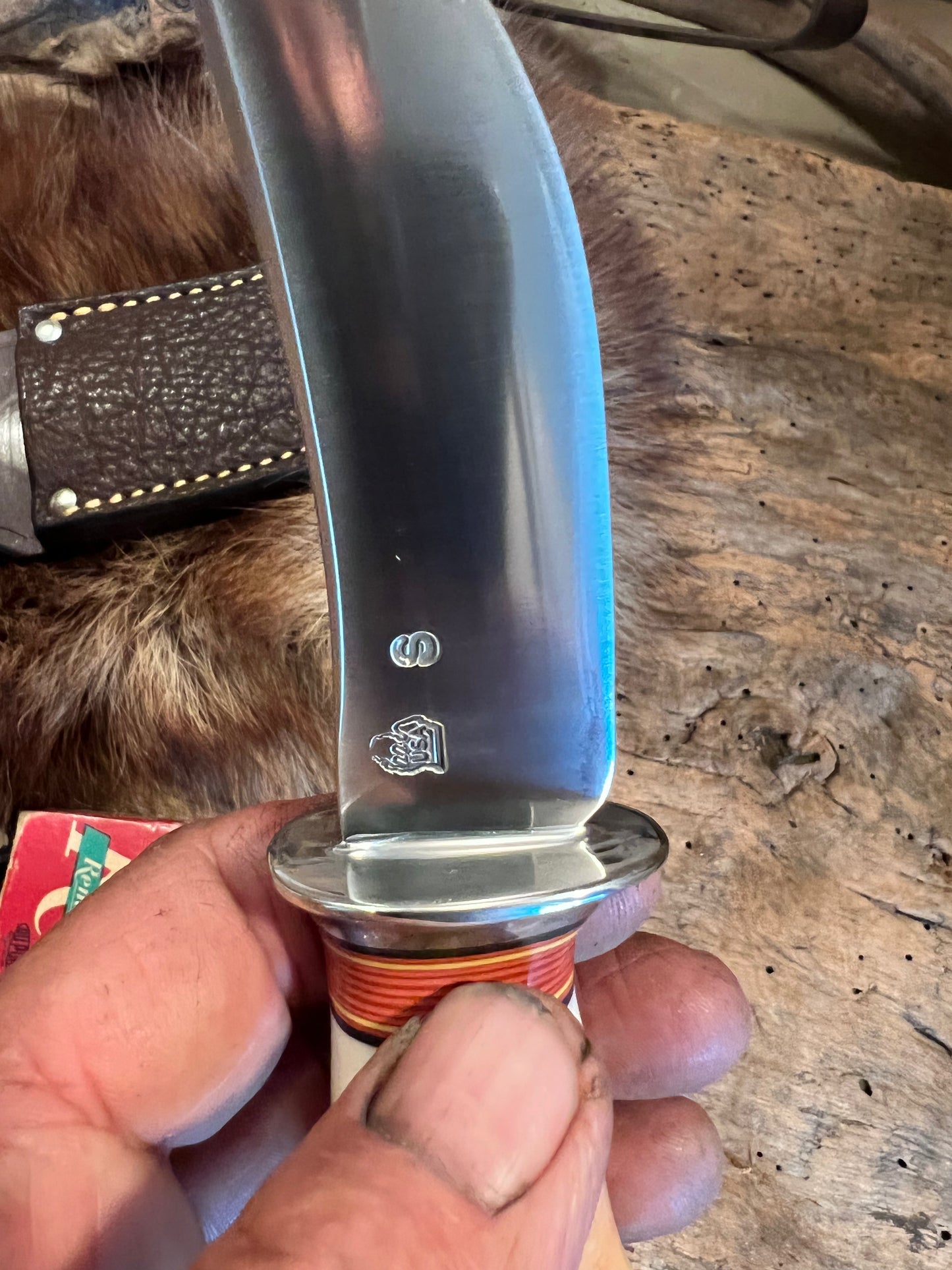 Treeman Wart Hog Tusk Ivory AEB-L stainless Caper  Elephant Ear sheath