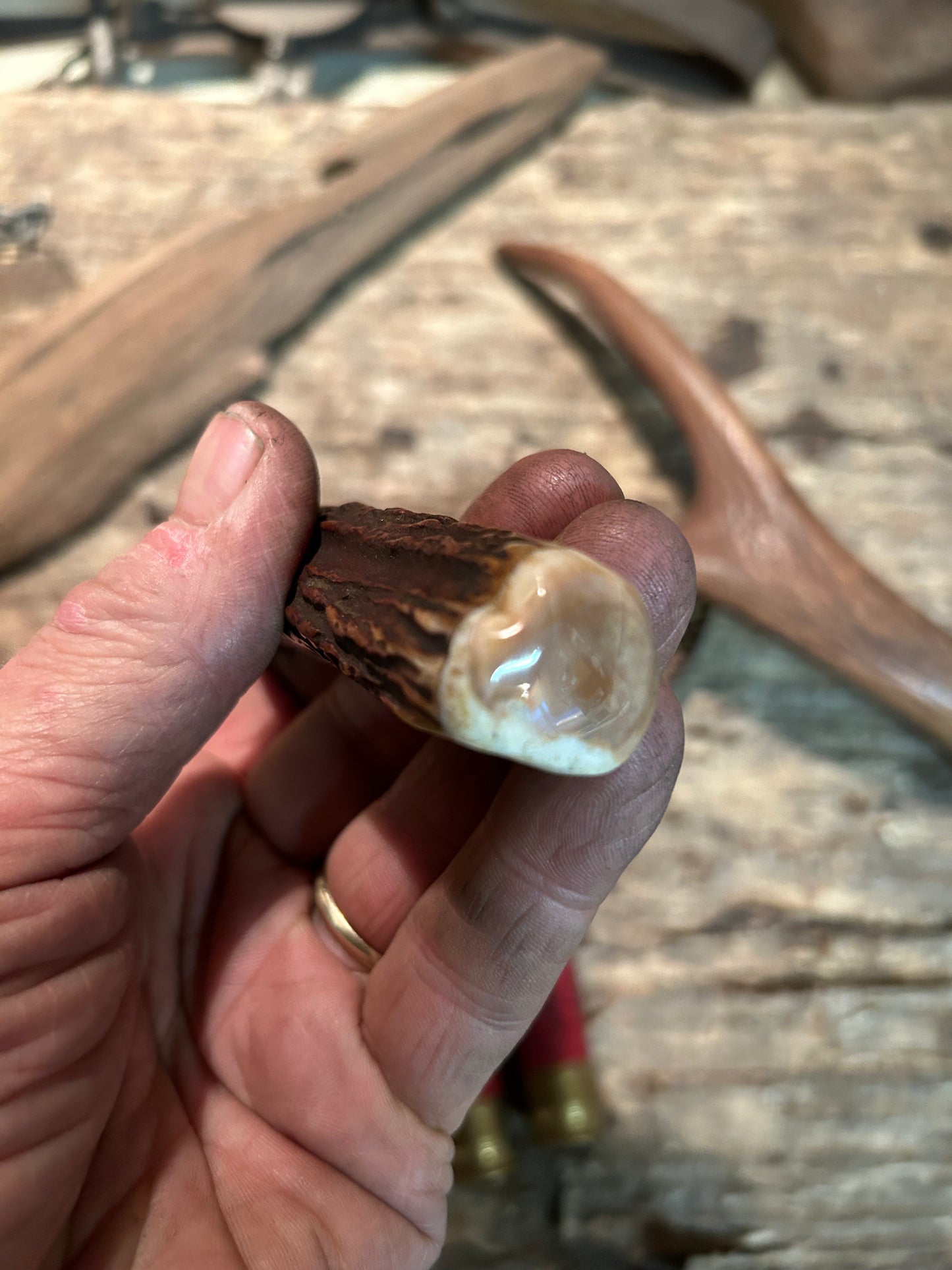 Treeman Deer & Trout 4" Stag Ivory