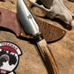 Treeman Alaskan Drop Point AEB-L Stainless Stag Bullfrog Sheath