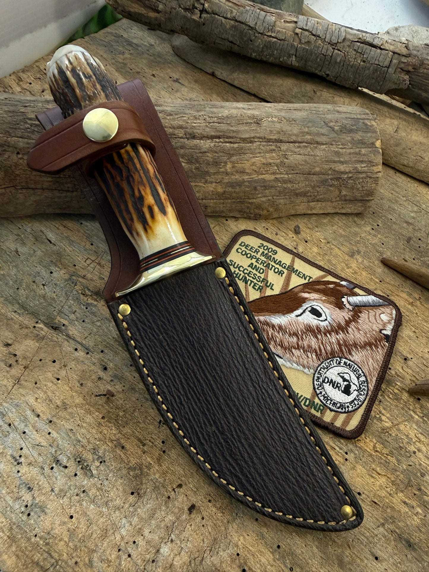 Treeman Big Bay Hunter 5" Stag Stag Sheep Horn