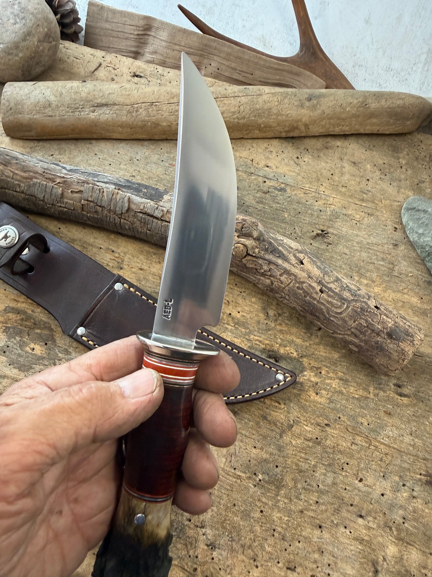 Treeman Hunter 5" AEBL Blade Nickel silver Horse Hide Crown Stag .