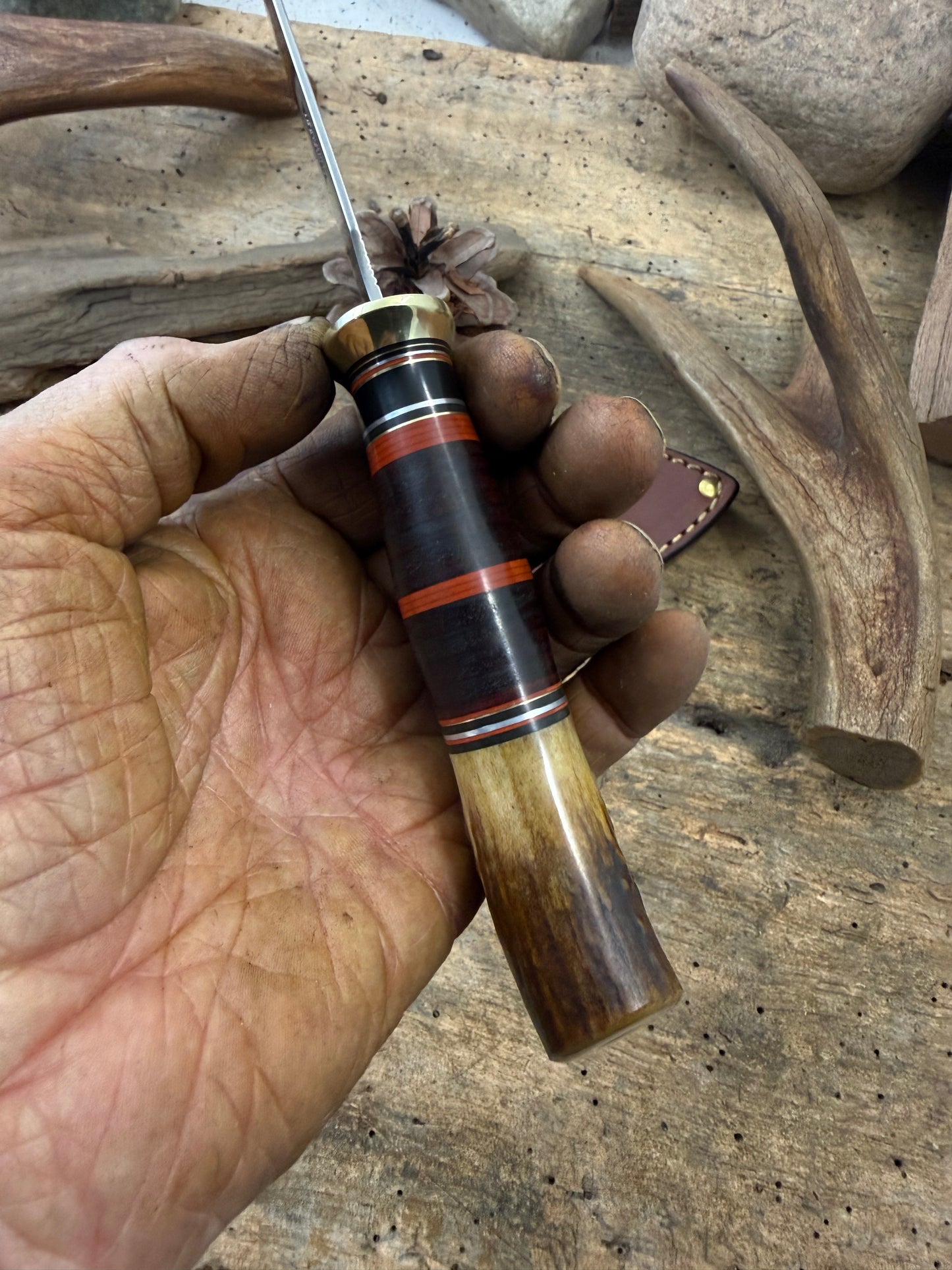 Treeman Special Hunter AEB-L Stainless 6" Blade Horse Hide Crotch Stag