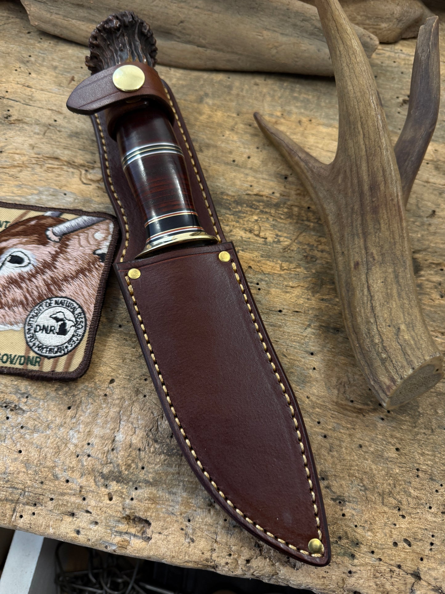 Old School Sticker 5" Brass Guard Horse hide old Wisconsin Crown stag