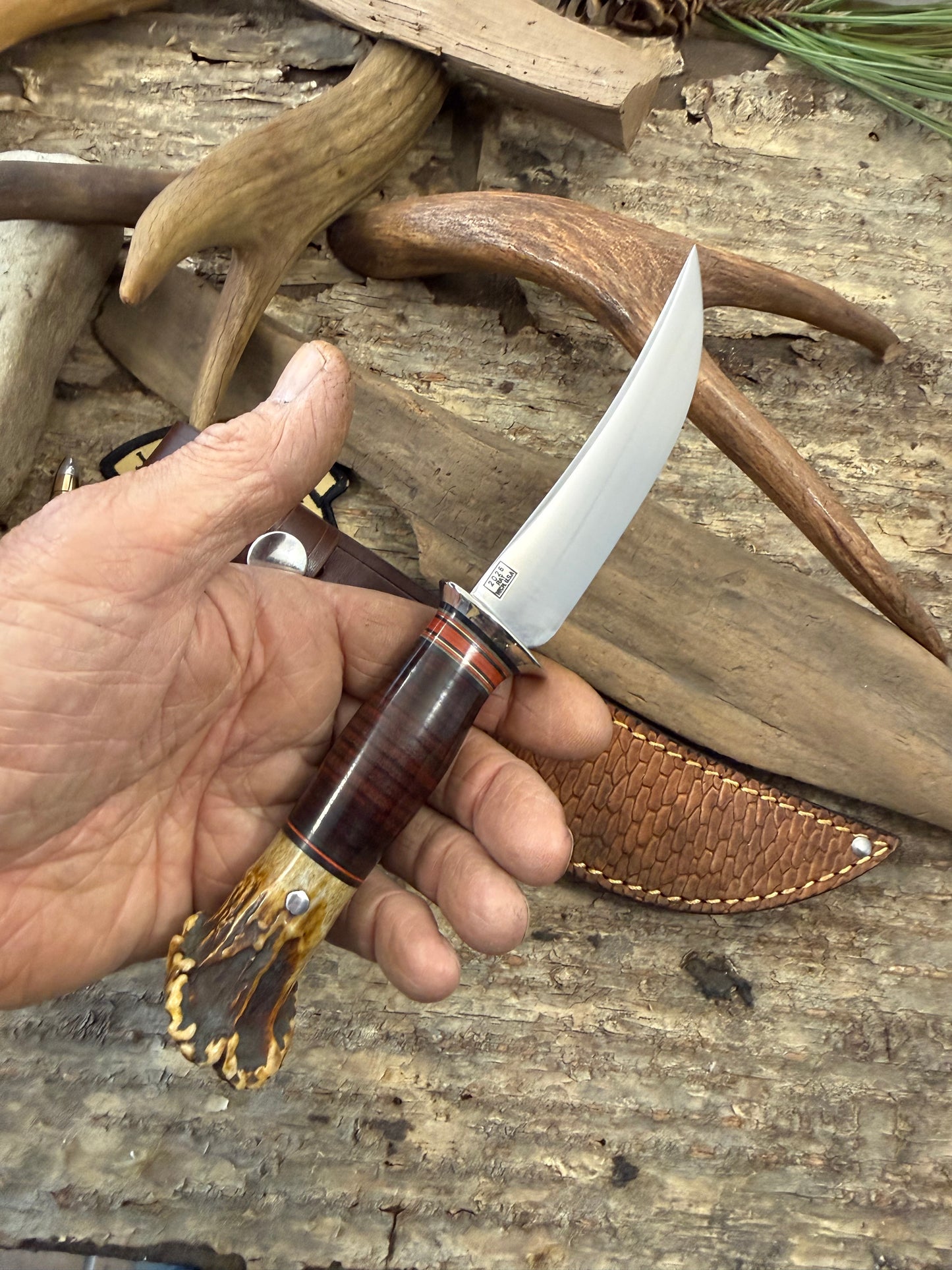 Treeman 4 1/2" Trout & Bird Nickel Horse Hide Crown Beaver Tail