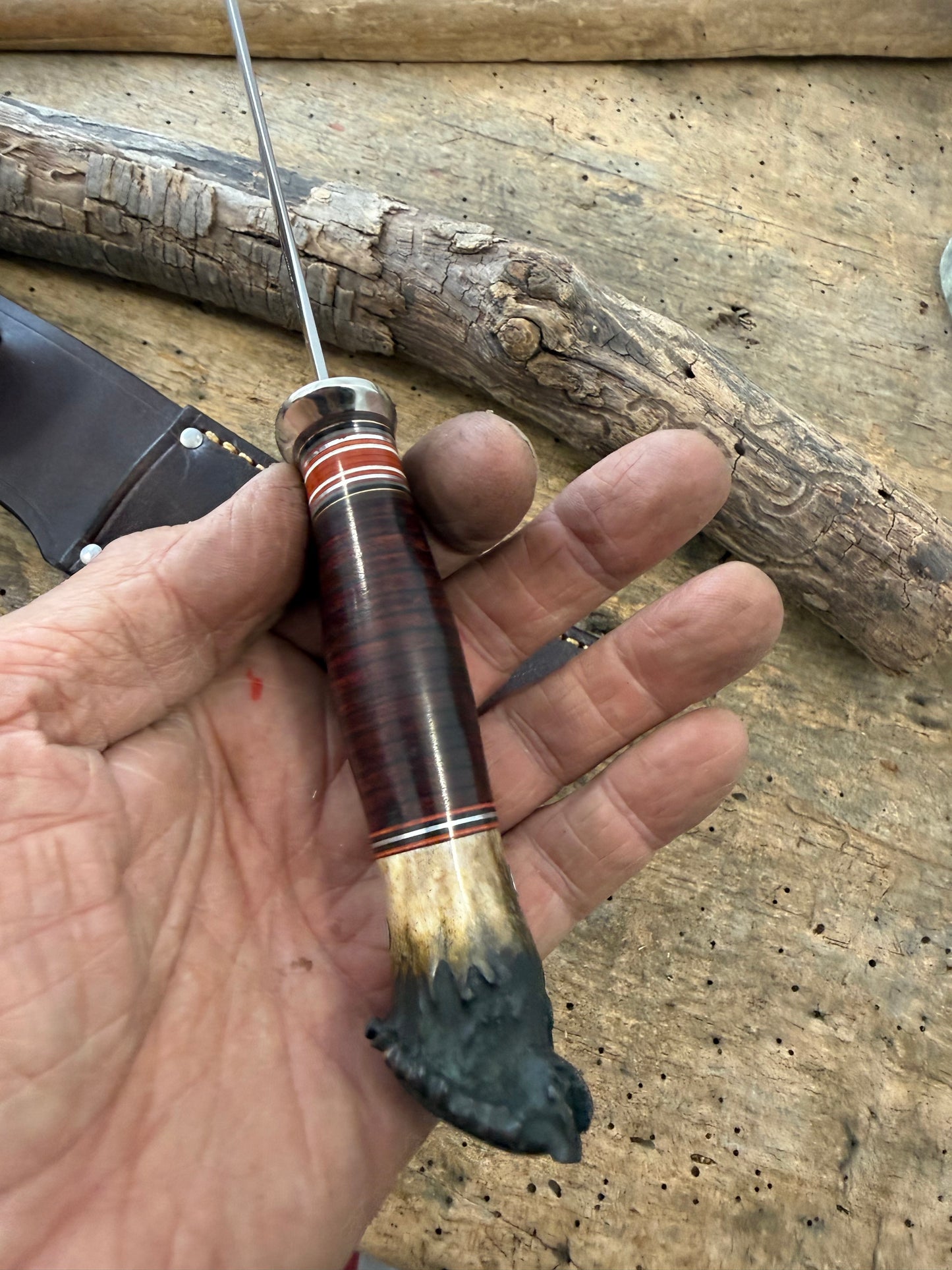 Treeman Hunter 5" AEBL Blade Nickel silver Horse Hide Crown Stag .
