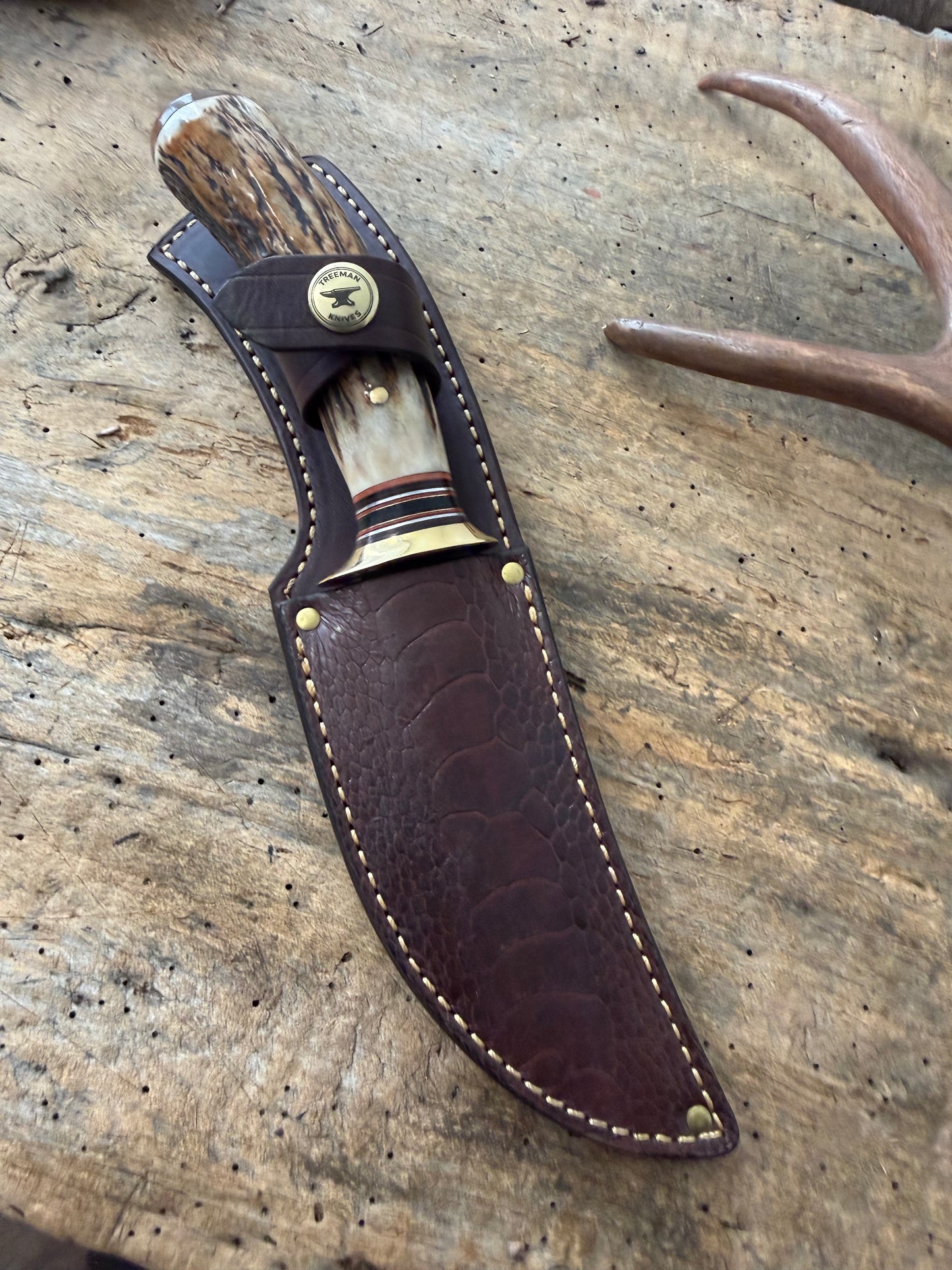 Treeman  5" Copper Harbor AEB-L Stainless Sambar Stag Mammoth Ivory Ostrich Leg Sheath