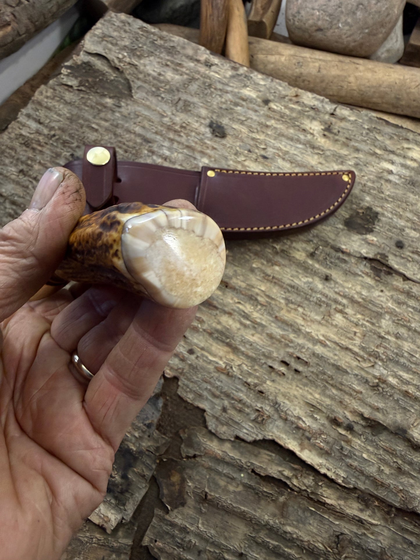 Treeman Semi Skinner Heavy Duty Hammer Marked 5 1/2" Blade Primo Sambar Stag