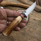 Trout 3.5" AEB-L Razor Blade Steel Moose Horn Mammoth Ivory Shark