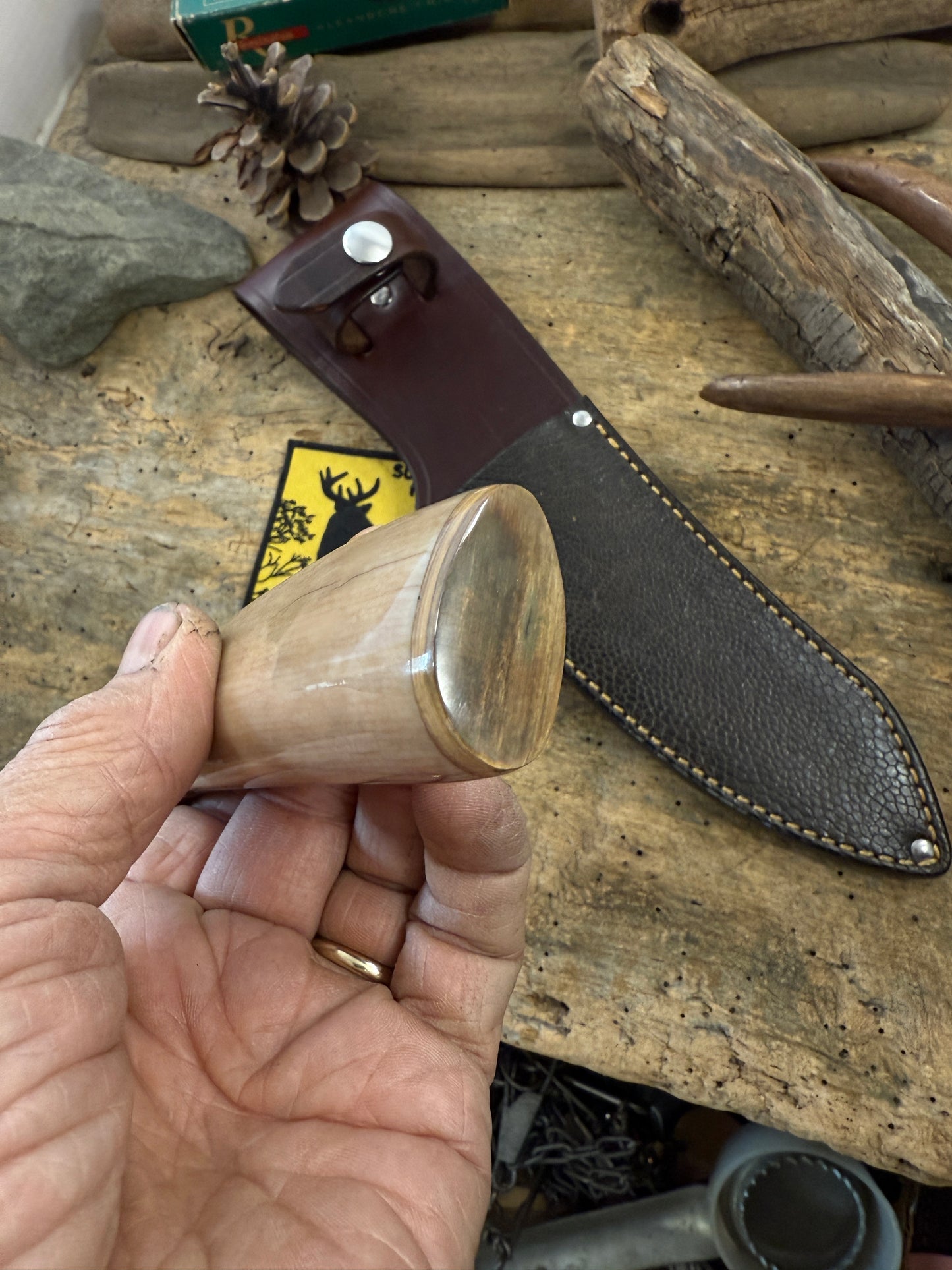 Treeman Walrus Artifact Ivory 6" Drop Point AEB-L Mammoth Butt cap Elephant Ear Sheath