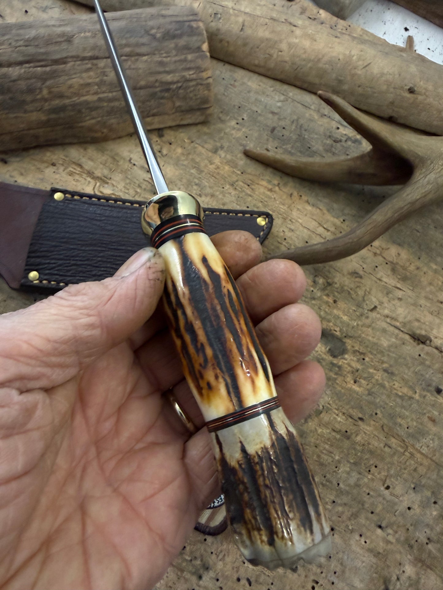 Treeman Big Bay Hunter 5" Stag Stag Sheep Horn