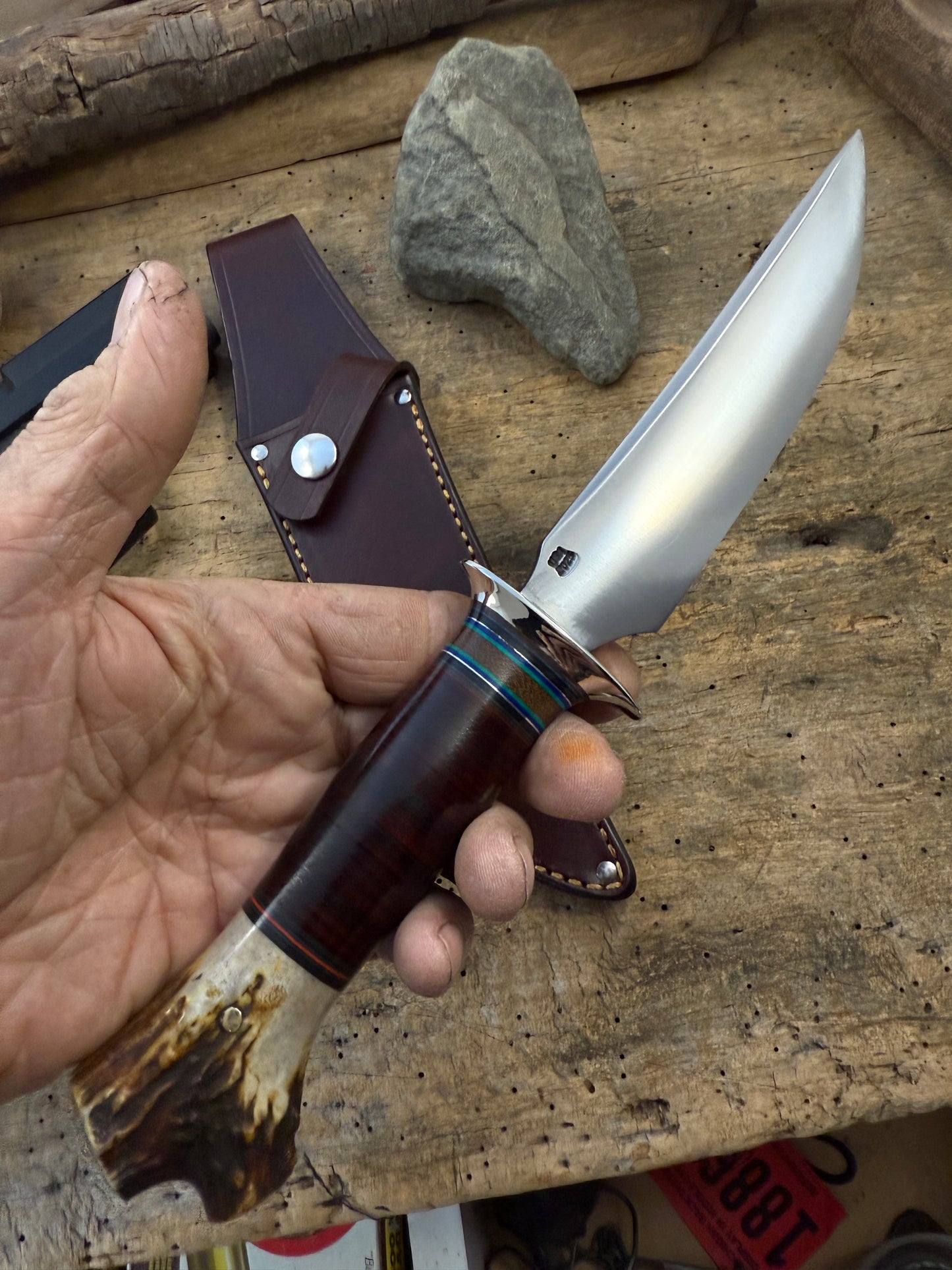 Model 1 - 6" Fighter Nickel Horse Hide Crotch Stag