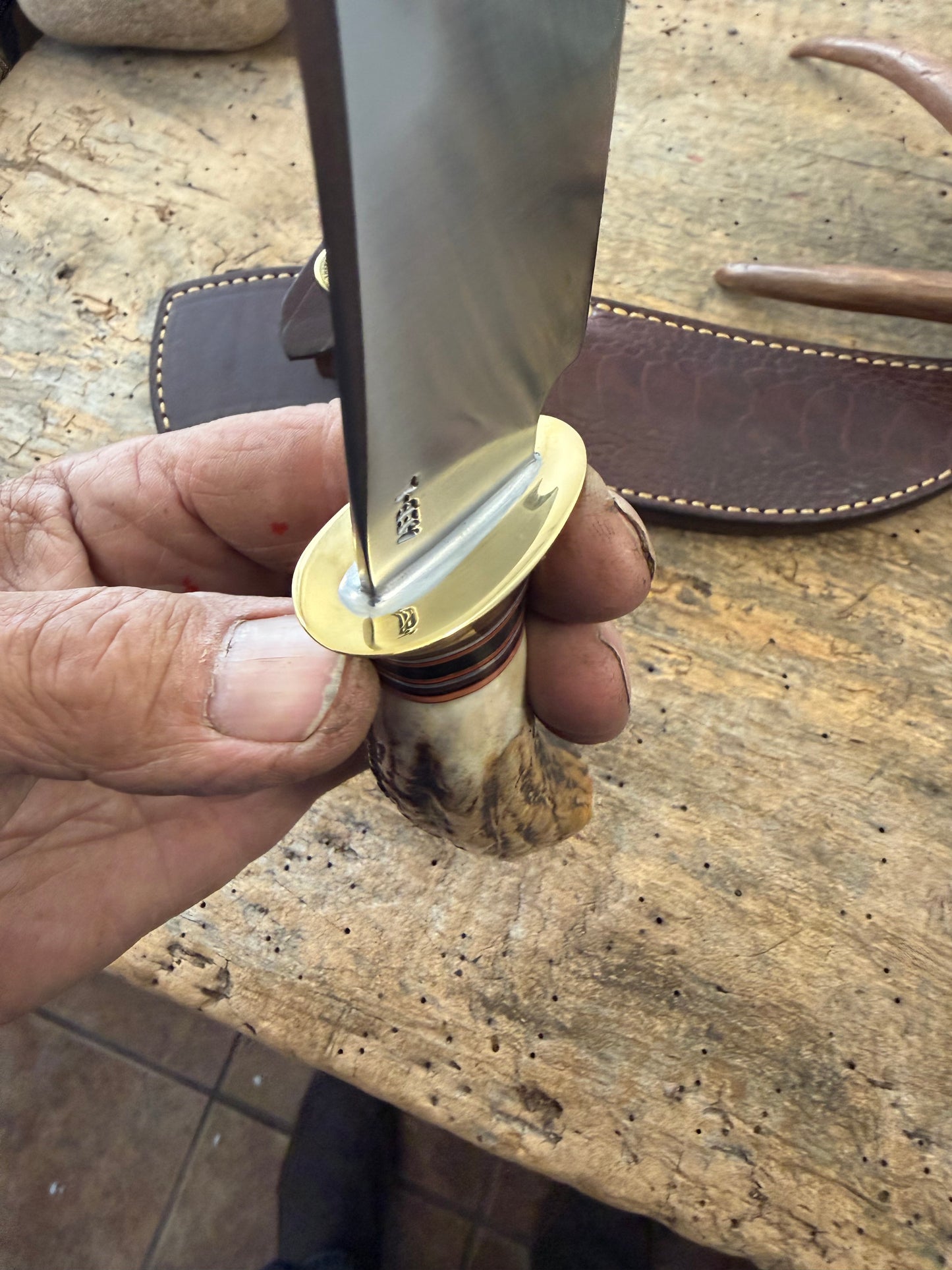 Treeman  5" Copper Harbor AEB-L Stainless Sambar Stag Mammoth Ivory Ostrich Leg Sheath