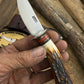 Caper 2 7/8" AEB-l Stainless Blade
