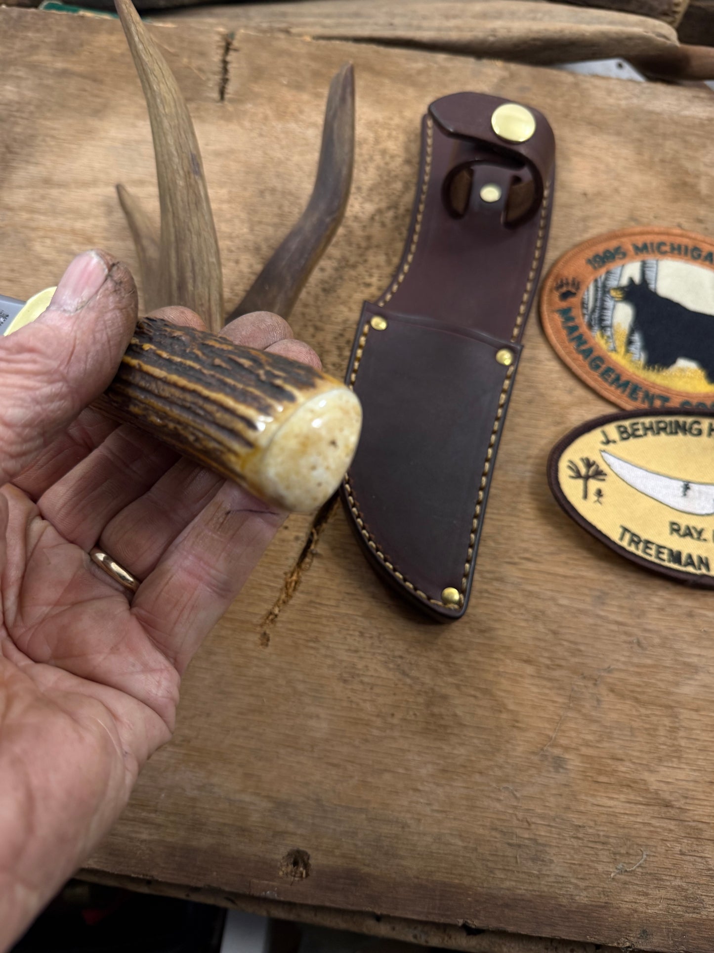 Treeman South Dakota Caper  Sambar Stag Ivory Butt Cap