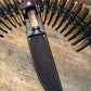 Treeman Double Skull Fighter 6 3/8" Blade NS AAA Sambar Stag Shark Sheath