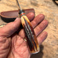 Treeman Pocket caper AEB-L Stainless 120 Year old red stag Ivory butt Cap