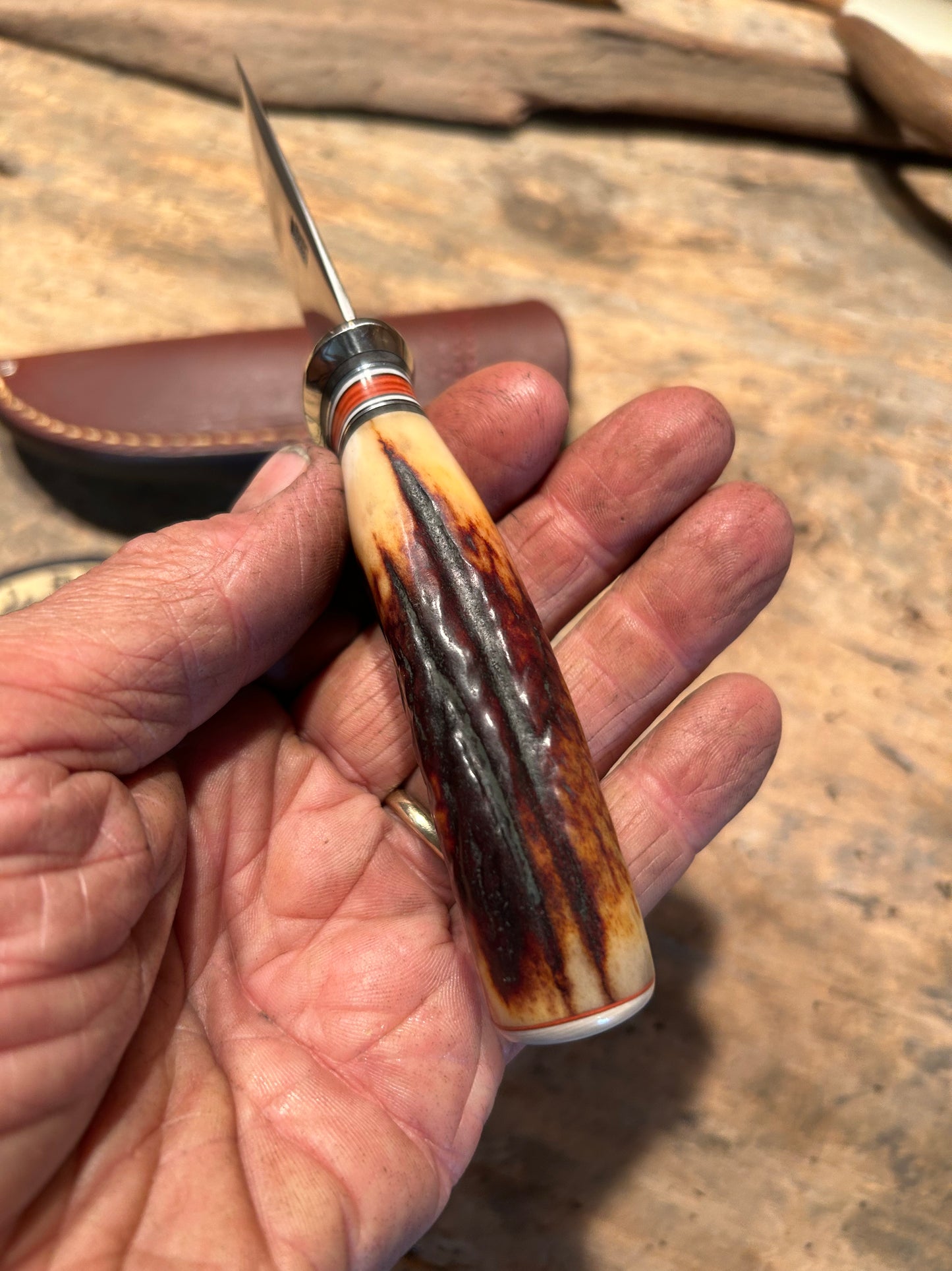Treeman Pocket caper AEB-L Stainless 120 Year old red stag Ivory butt Cap