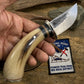 Musk Ox South Dakota Caper Sheep Horn Butt NS.