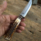 Deer & Trout 4 1/4" Blade AEB-L Stainless Sambar Stag Musk Ox .
