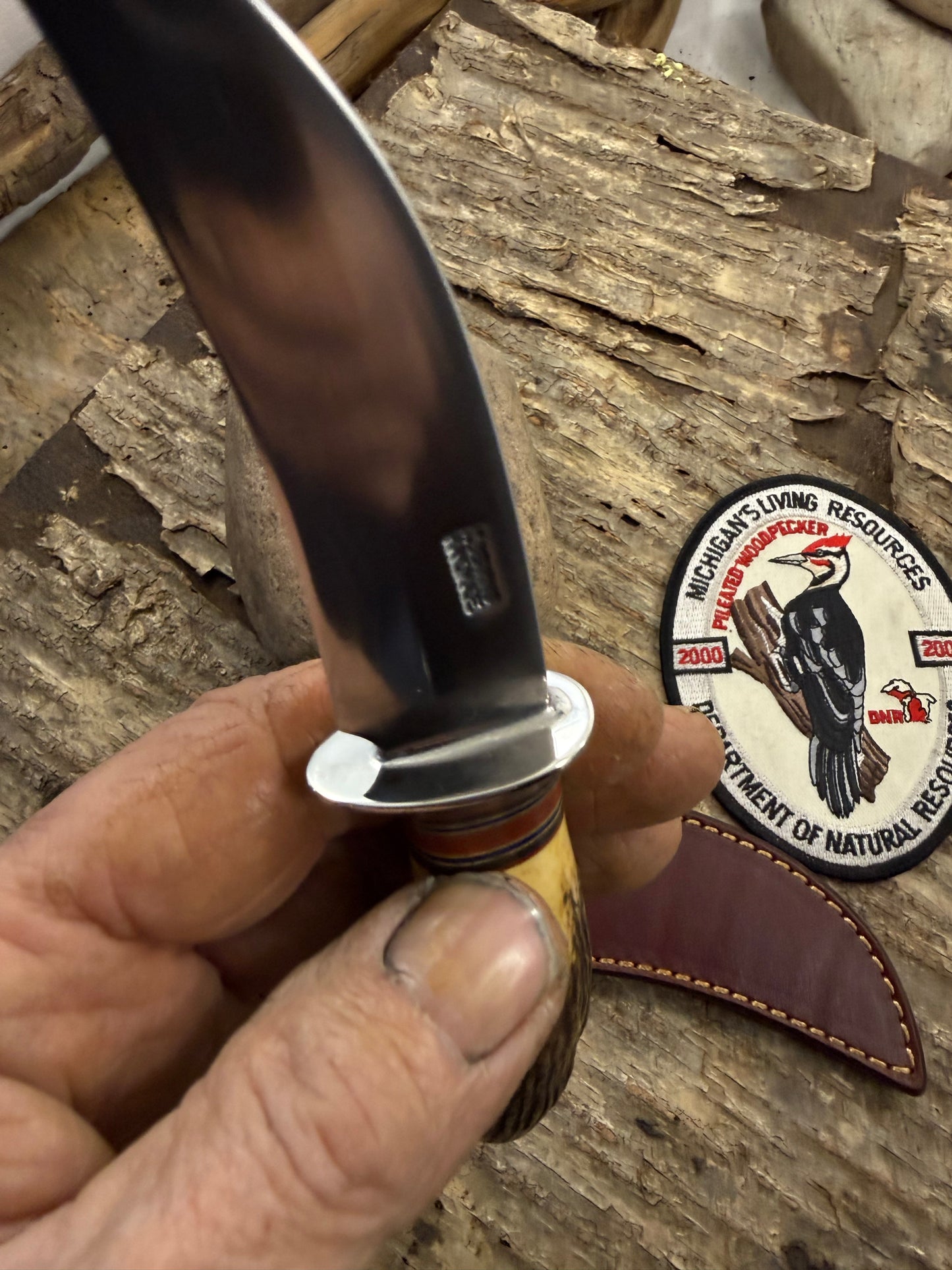 Treeman AEB-L Cattleman Peeler Castrater Ball Cutter Deer Gutter your call.