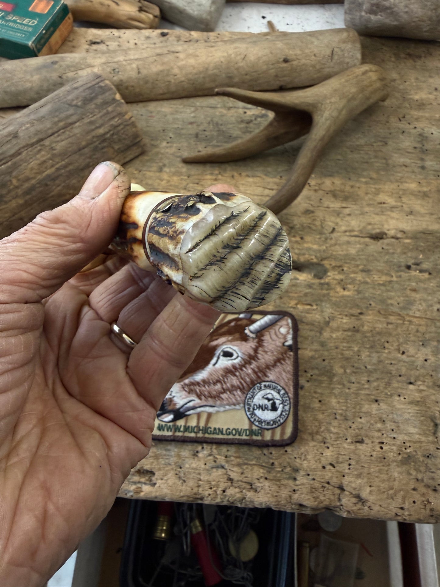 Treeman Big Bay Hunter 5" Stag Stag Sheep Horn