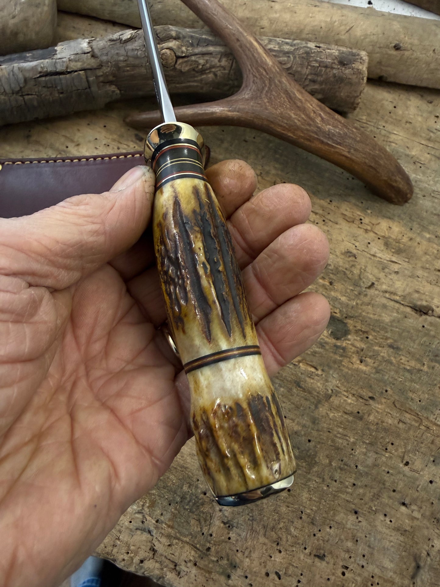 Treeman Big Bay Hunter 5" Stag Stag Sheep Horn