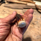 Treeman Pocket caper AEB-L Stainless 120 Year old red stag Ivory butt Cap