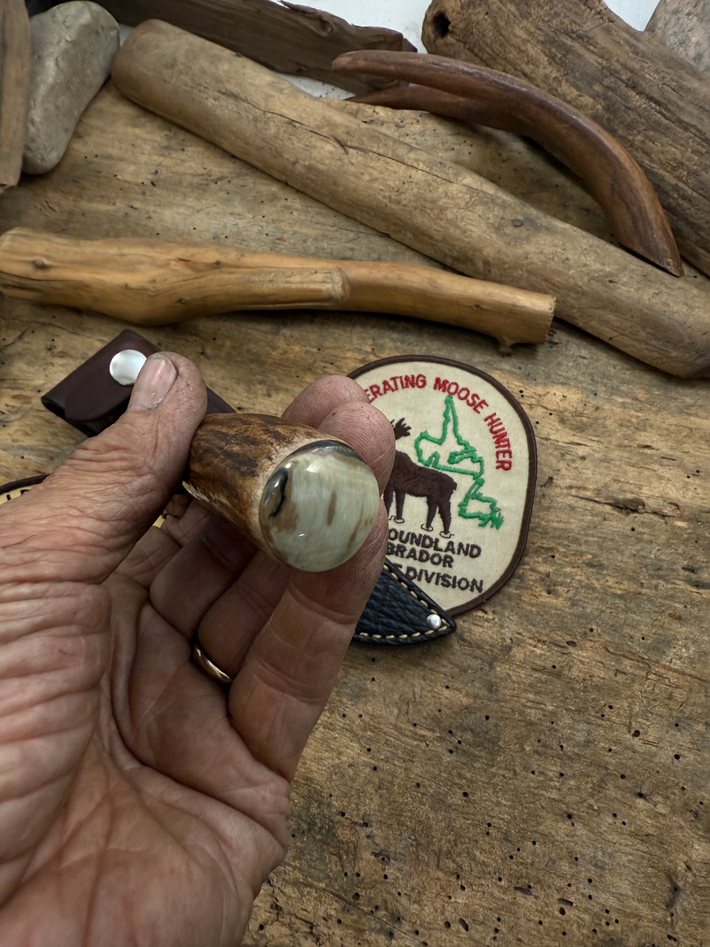 Trout 3.5" AEB-L Razor Blade Steel Moose Horn Mammoth Ivory Shark