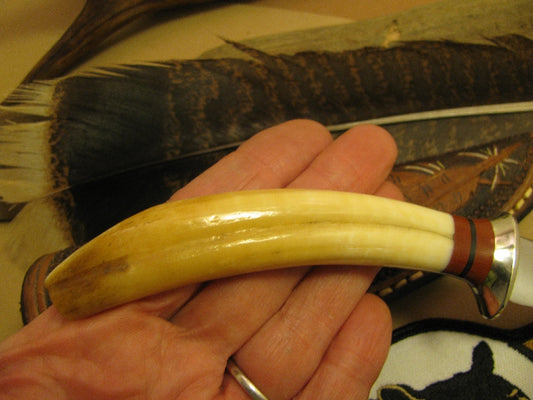 Michigan Trout Knife 